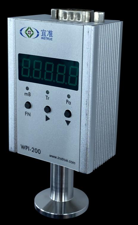 WPI200 — оригинальная фотография серии из EN V1. Комплект интерфейсов определяется кодом исполнения.