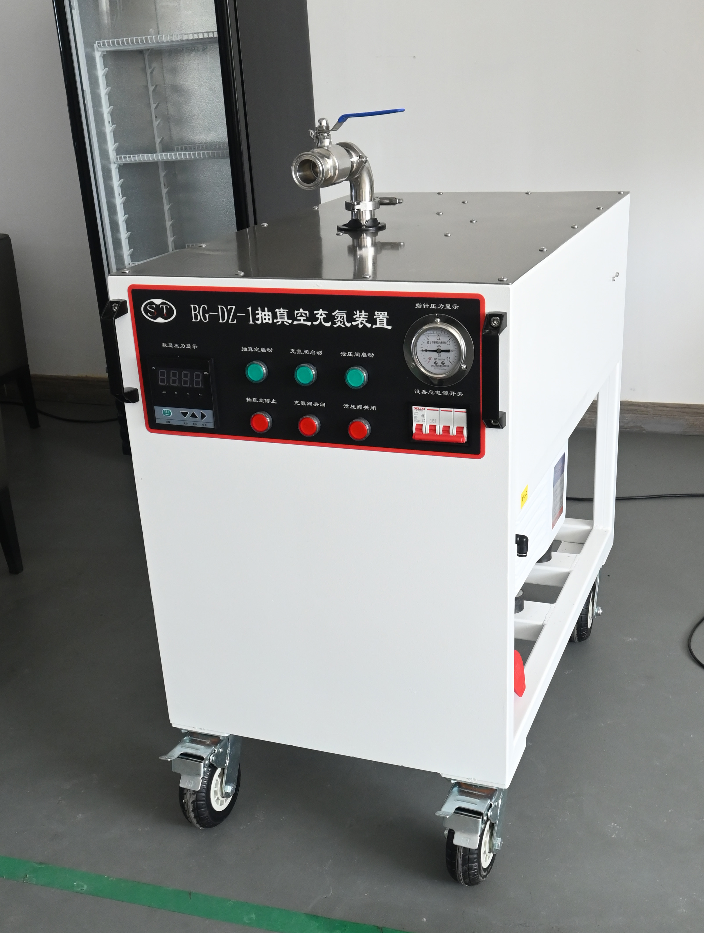 BG-DZ-1 — оригинальная фотография XST; комплектация по спецификации